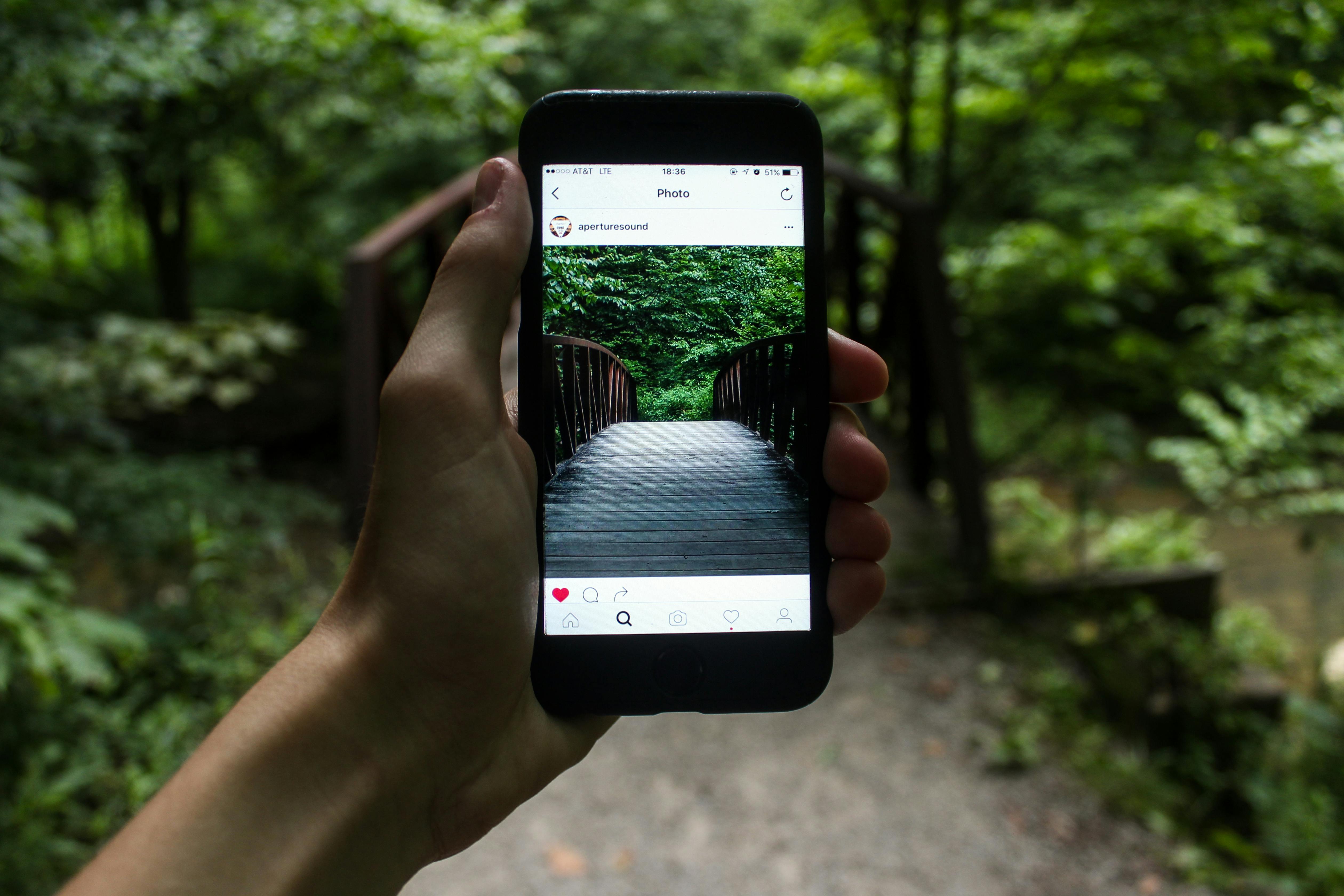 phone showing Instagram in wilderness